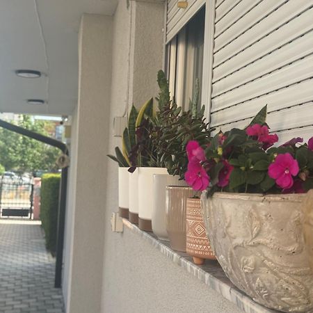 Vila Bolonja Struga Exteriör bild