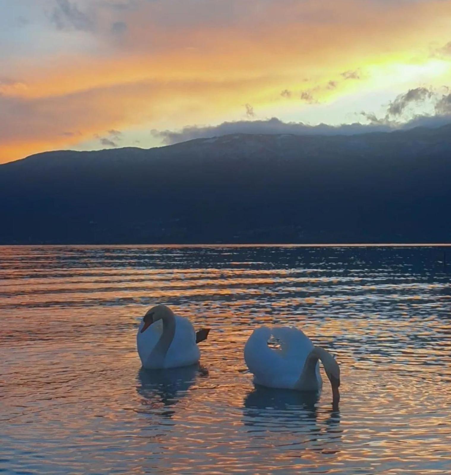 Vila Bolonja Struga Exteriör bild